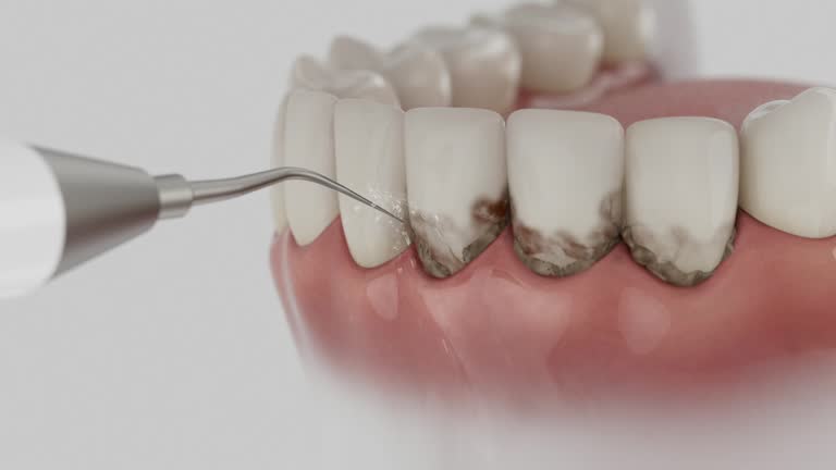 Reliable Dental contractor in Powers Lake, WI by Dentist Open Now